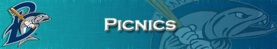 Picnics.jpg